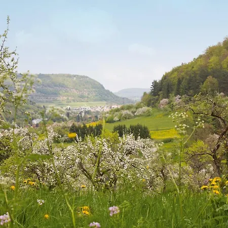 Hotel Restaurant Hirsch