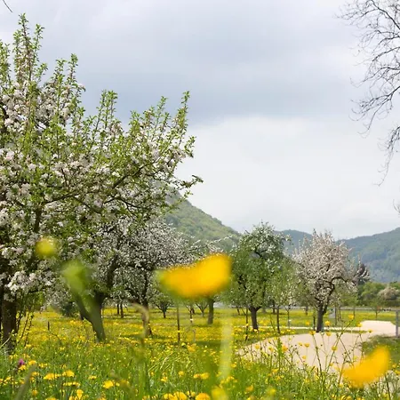 מלון Restaurant Hirsch