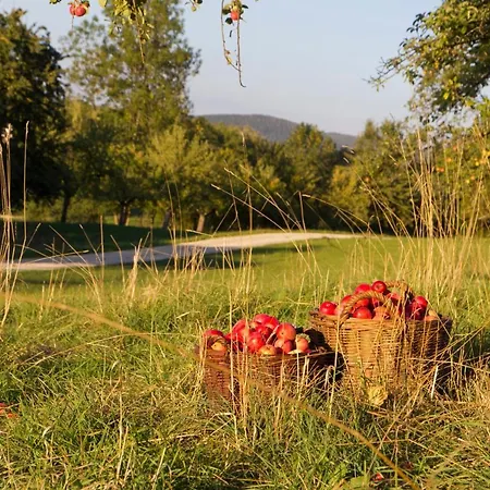 Restaurant Hirsch Hotel Bad Ditzenbach