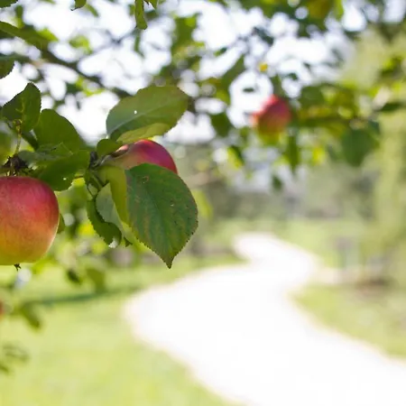 Restaurant Hirsch באד דיצנבאך
